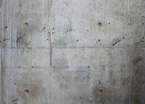 Best Concrete Flooring Contractor  in Mill Creek East, WA